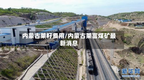 内蒙古莱籽费用/内蒙古莱富煤矿最新消息