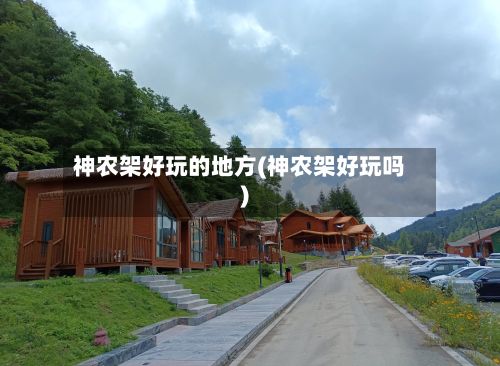 神农架好玩的地方(神农架好玩吗)-第2张图片