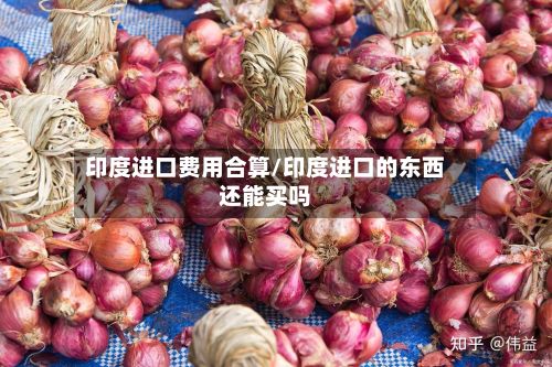印度进口费用合算/印度进口的东西还能买吗