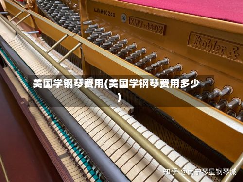 美国学钢琴费用(美国学钢琴费用多少)