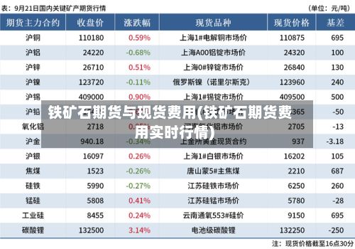 铁矿石期货与现货费用(铁矿石期货费用实时行情)