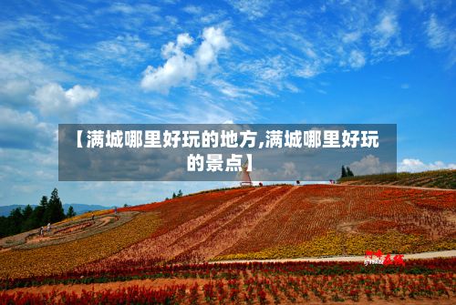 【满城哪里好玩的地方,满城哪里好玩的景点】