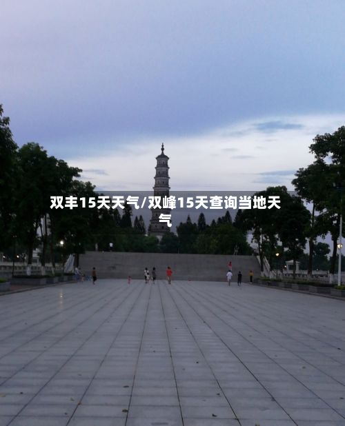 双丰15天天气/双峰15天查询当地天气