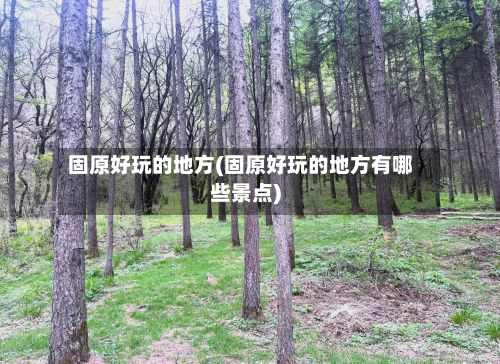固原好玩的地方(固原好玩的地方有哪些景点)