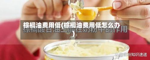 棕榈油费用低(棕榈油费用低怎么办)-第2张图片