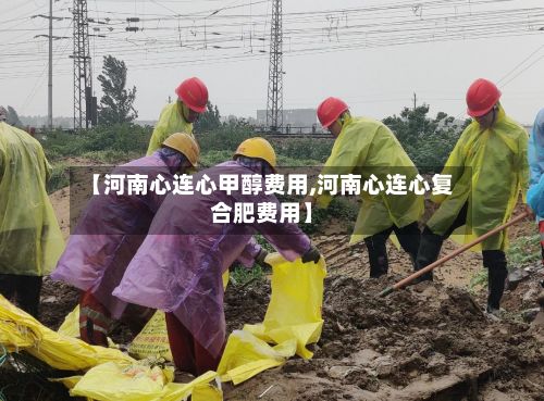 【河南心连心甲醇费用,河南心连心复合肥费用】