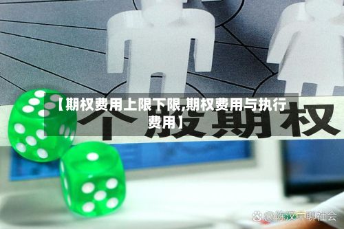 【期权费用上限下限,期权费用与执行费用】-第2张图片