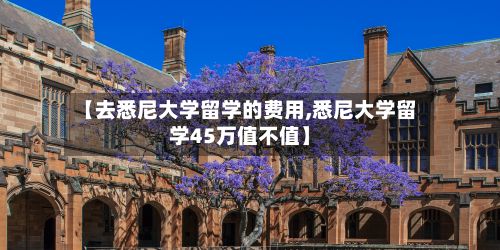 【去悉尼大学留学的费用,悉尼大学留学45万值不值】-第3张图片