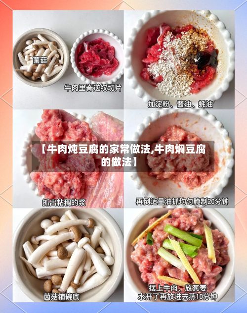 【牛肉炖豆腐的家常做法,牛肉焖豆腐的做法】