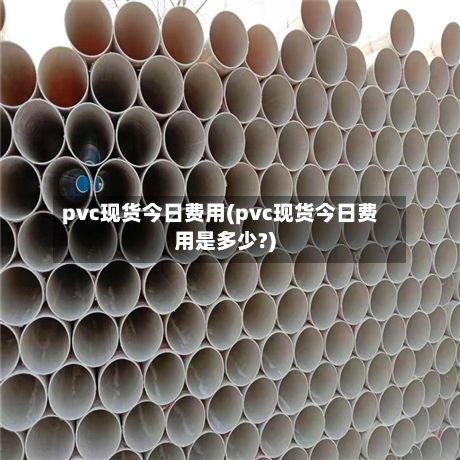 pvc现货今日费用(pvc现货今日费用是多少?)