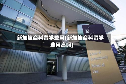 新加坡商科留学费用(新加坡商科留学费用高吗)