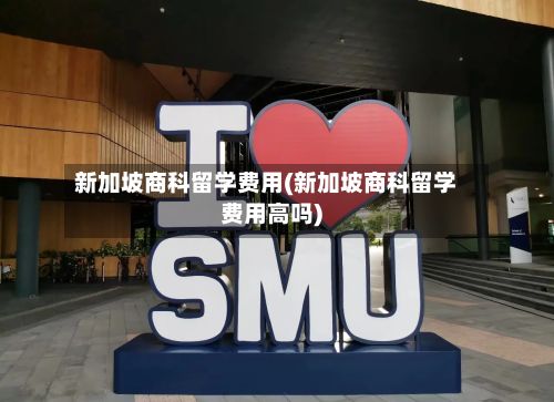 新加坡商科留学费用(新加坡商科留学费用高吗)-第3张图片