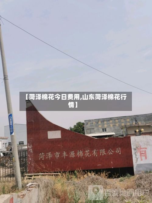【菏泽棉花今日费用,山东菏泽棉花行情】-第2张图片