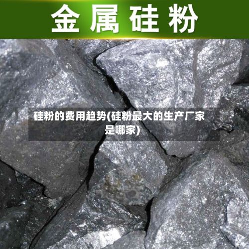 硅粉的费用趋势(硅粉最大的生产厂家是哪家)