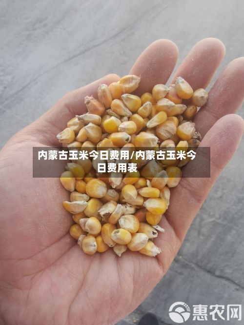 内蒙古玉米今日费用/内蒙古玉米今日费用表