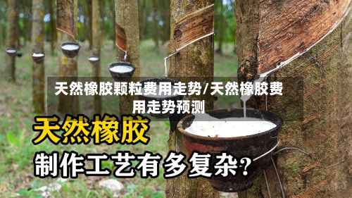 天然橡胶颗粒费用走势/天然橡胶费用走势预测