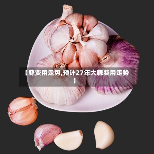 【蒜费用走势,预计27年大蒜费用走势】