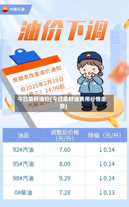 今日菜籽油价(今日菜籽油费用行情走势)-第2张图片