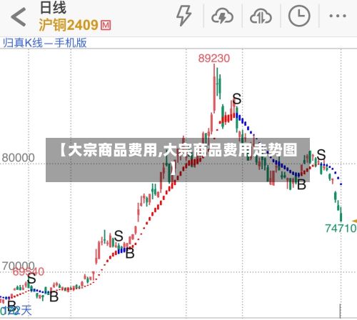 【大宗商品费用,大宗商品费用走势图】-第2张图片