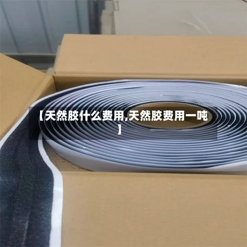 【天然胶什么费用,天然胶费用一吨】