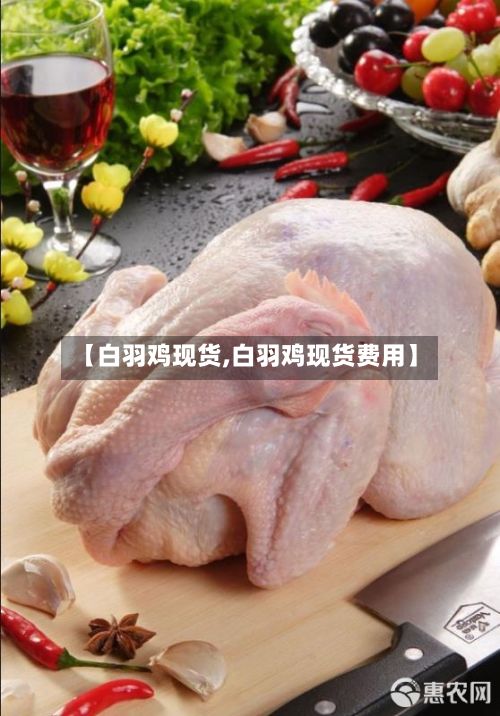 【白羽鸡现货,白羽鸡现货费用】