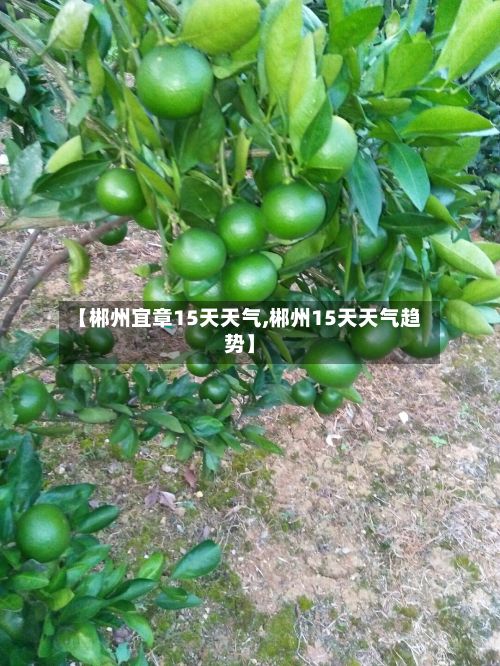 【郴州宜章15天天气,郴州15天天气趋势】