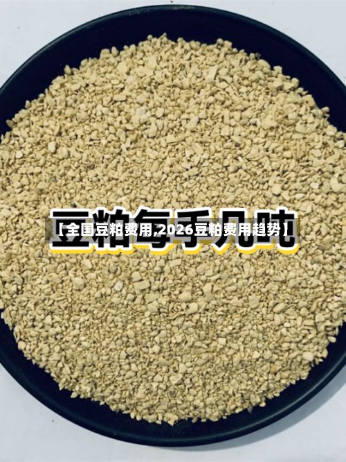【全国豆粕费用,2026豆粕费用趋势】-第3张图片