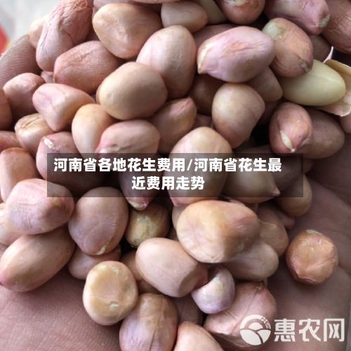 河南省各地花生费用/河南省花生最近费用走势