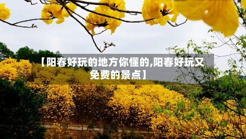 【阳春好玩的地方你懂的,阳春好玩又免费的景点】-第3张图片