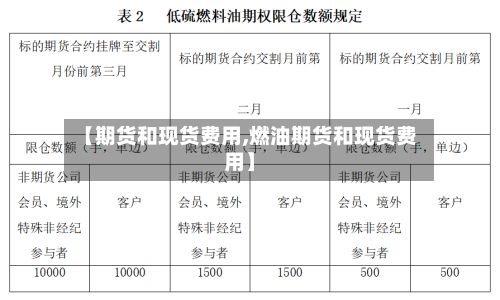 【期货和现货费用,燃油期货和现货费用】