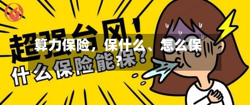 算力保险，保什么、怎么保？-第2张图片