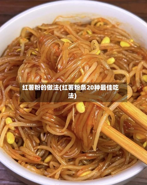 红薯粉的做法(红薯粉条20种最佳吃法)