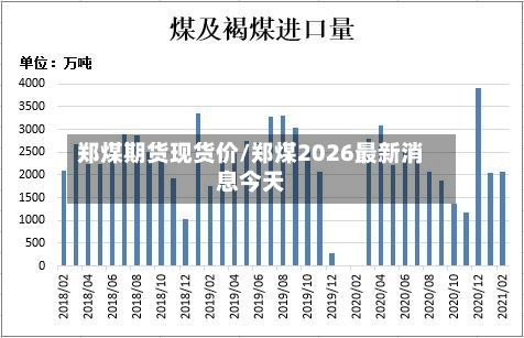郑煤期货现货价/郑煤2026最新消息今天-第2张图片