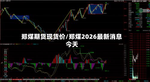 郑煤期货现货价/郑煤2026最新消息今天