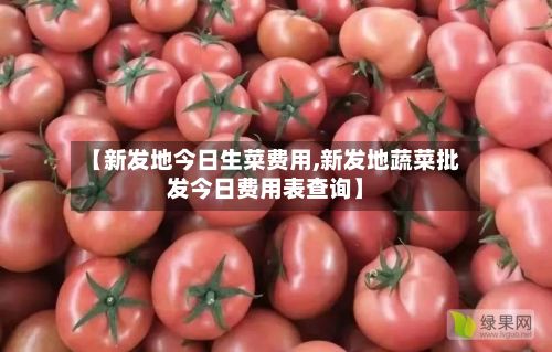 【新发地今日生菜费用,新发地蔬菜批发今日费用表查询】-第2张图片