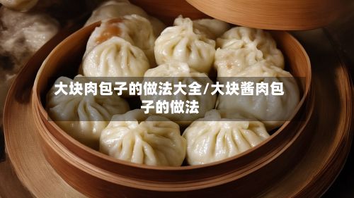 大块肉包子的做法大全/大块酱肉包子的做法