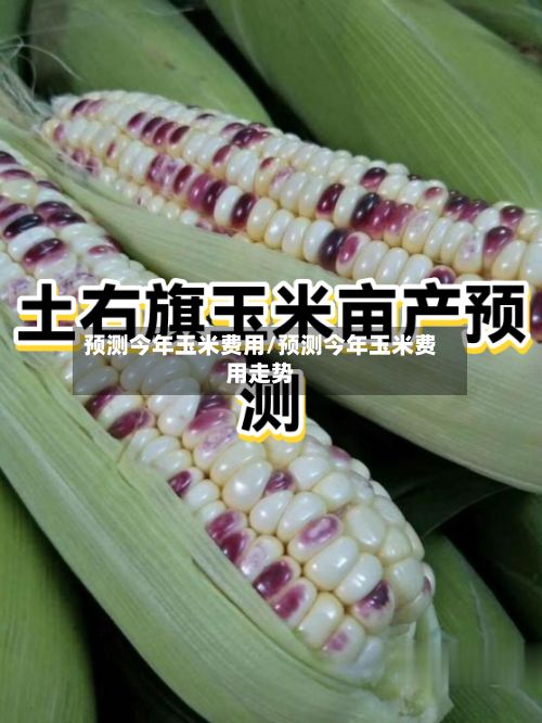 预测今年玉米费用/预测今年玉米费用走势