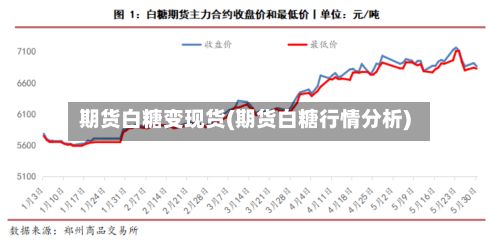 期货白糖变现货(期货白糖行情分析)