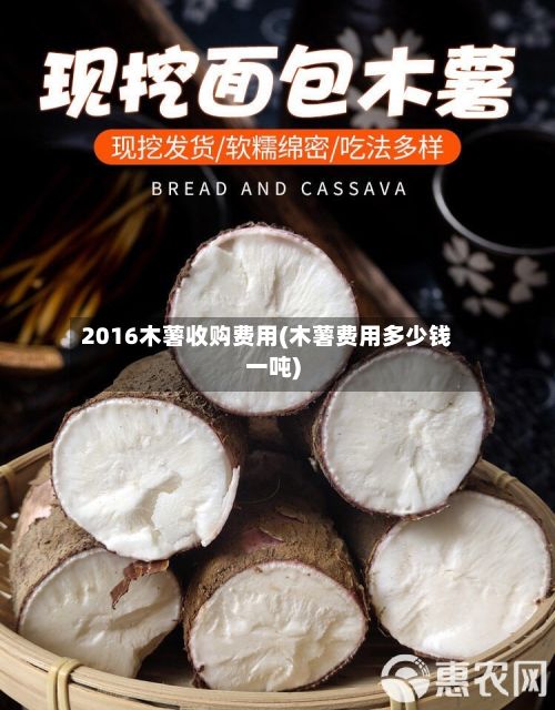 2016木薯收购费用(木薯费用多少钱一吨)