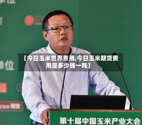 【今日玉米世界费用,今日玉米期货费用是多少钱一吨】