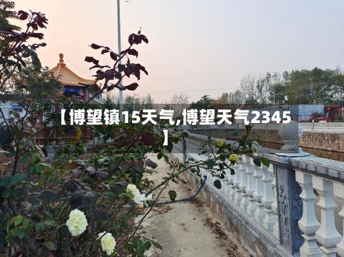 【博望镇15天气,博望天气2345】