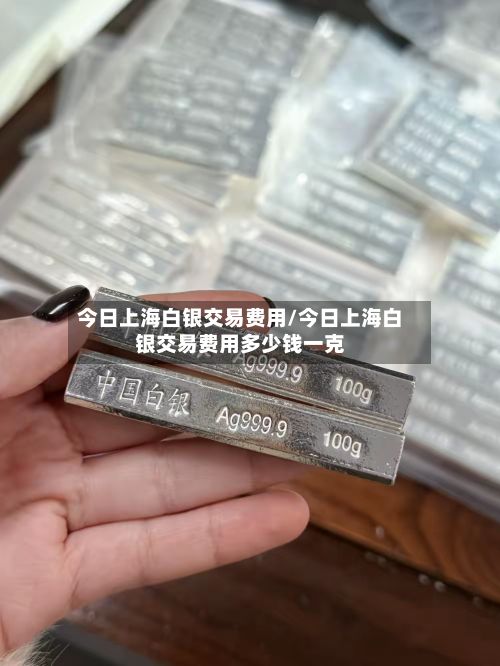 今日上海白银交易费用/今日上海白银交易费用多少钱一克-第2张图片