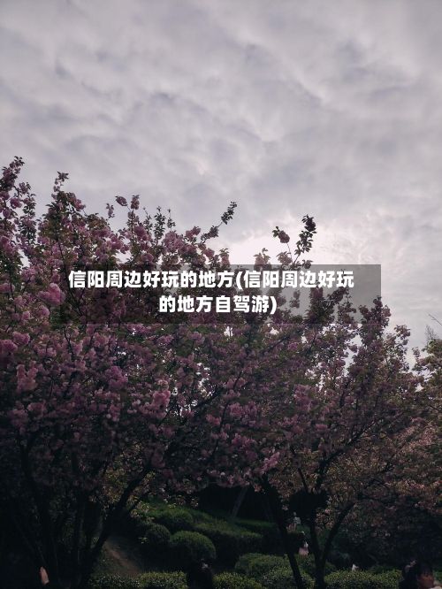 信阳周边好玩的地方(信阳周边好玩的地方自驾游)