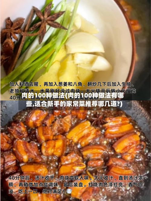 肉的100种做法(肉的100种做法有哪些,适合新手的家常菜推荐哪几道?)-第2张图片