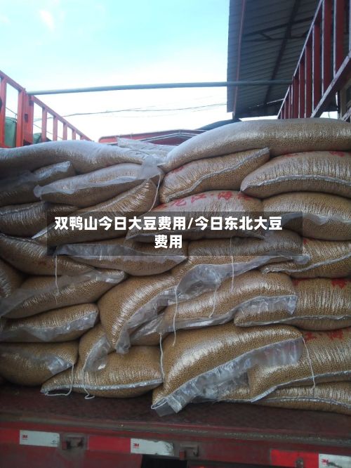 双鸭山今日大豆费用/今日东北大豆费用-第2张图片