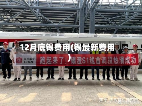 12月底锡费用(锡最新费用)