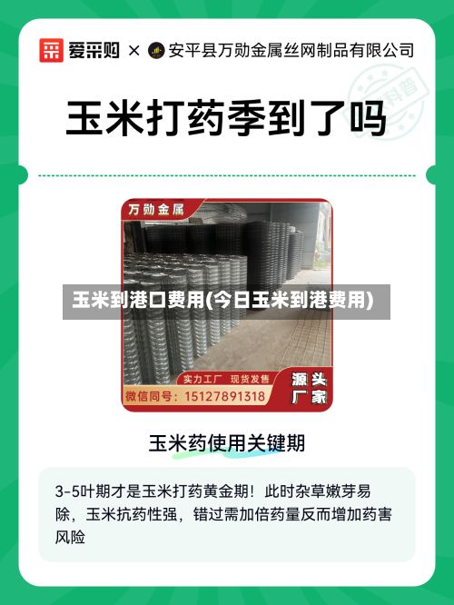 玉米到港口费用(今日玉米到港费用)-第2张图片