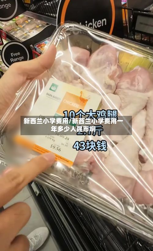 新西兰小学费用/新西兰小学费用一年多少人民币啊
