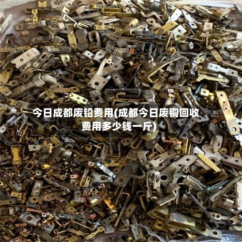 今日成都废铅费用(成都今日废铜回收费用多少钱一斤)-第3张图片