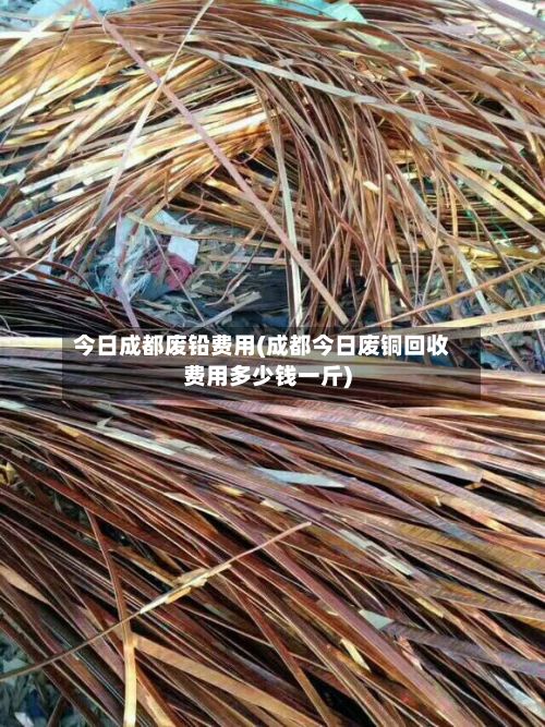 今日成都废铅费用(成都今日废铜回收费用多少钱一斤)